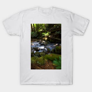 Taggerty Cascades #1 T-Shirt